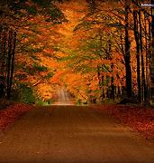 Image result for Free autumn screensavers