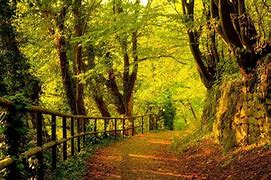 Image result for Nature Wallpaper for 1600X900