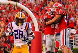 Image result for Georgia Bulldogs Football Game