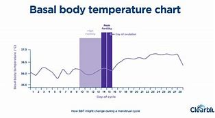 Image result for Basal Body Thermometer