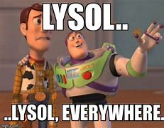 Image result for Lysol Meme