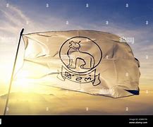 Image result for Manipur Hand Waving Flags