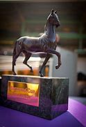 Image result for Breeders' Cup Colors