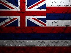 Image result for Flag of Hawaii with Coat of Arms