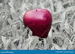 Image result for Apple Red Colour