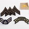 Image result for U.S. Army Rank Insignias