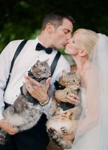 Image result for Cat Wedding