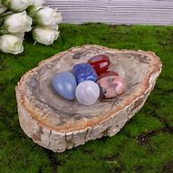 Image result for Petrified Wood Bowl