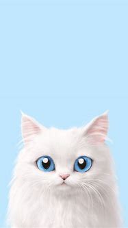 Image result for iPhone with Cat as Wallpaper