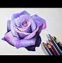 Image result for Beautiful Flower Pencil Drawings