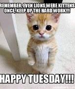 Image result for Tuesday Deputy Dawg Meme