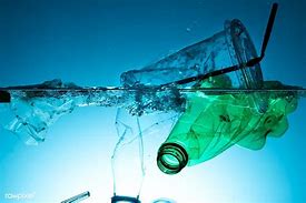 Image result for Plastic Polluting the Ocean