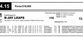 Image result for Horse Racing Form