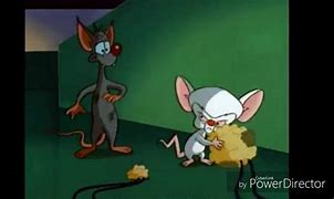 Image result for Pinky and the Brain Idiot