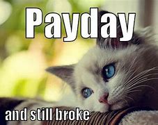 Image result for Payday Cat Meme