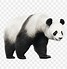 Image result for Giant Panda Costume