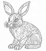 Image result for Castor Rex Rabbit