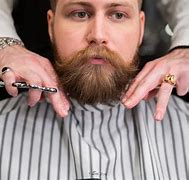 Image result for Curved Beard Scissors