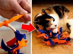 Image result for Fun Homemade Cat Toys