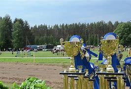 Image result for Steeplechase Horse Racing