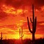 Image result for Arizona Desert Wallpaper 4K