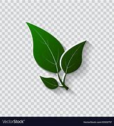 Image result for Eco-Friendly Leaf
