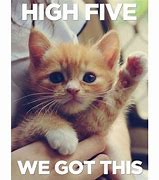 Image result for We Got This Cute Animal Meme