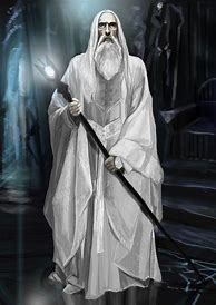 Image result for Saruman Costume