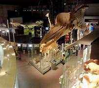 Image result for National Museum of Nature and Science Ueno Japan