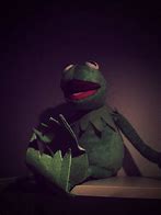 Image result for Kermit the Frog Jokes