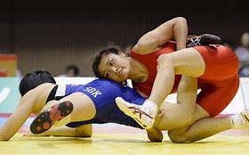 Image result for Japan Freestyle Wrestling