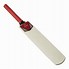 Image result for Hofner Cricket Bat