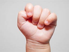 Image result for Ababy Fist