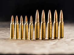 Image result for 223 Remington vs 308 Winchester