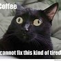 Image result for Sad Tired Cat Meme
