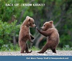 Image result for Karate Meme with Gun at the Back