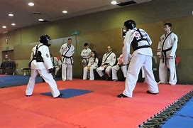Image result for ATA Taekwondo Sparring Gear