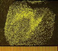 Image result for Molecular Fingerprint