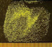 Image result for Fingerprint Analyst