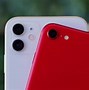 Image result for Red iPhone 11 Vs. Red iPhone SE 2020