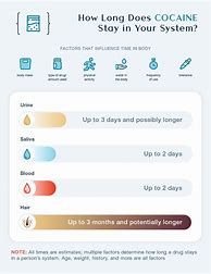 Image result for How Long Do Drugs Stay in Your System