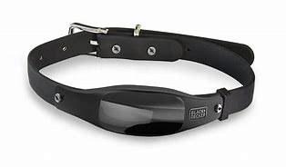 Image result for Smart Dog Collar