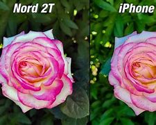Image result for iPhone SE Camera Quality
