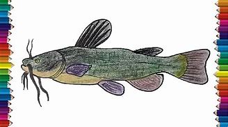 Image result for Fish Hook Drawing Catfish