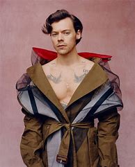 Image result for Harry Styles New Photoshoot