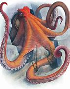 Image result for Initial D Octopus