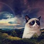 Image result for Grumpy Cat Pop Art