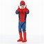 Image result for Spiderman Kids Costume