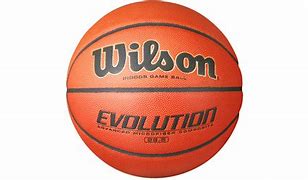 Image result for Wilson Evolution Basketball 29.5