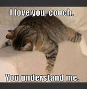 Image result for Cat Relaxing Meme
